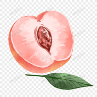 第一视角自拍APP应用